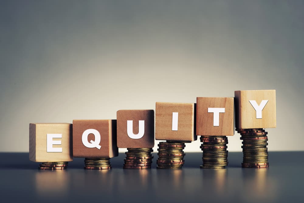 Understanding Shareholder Equity Owner Rights
